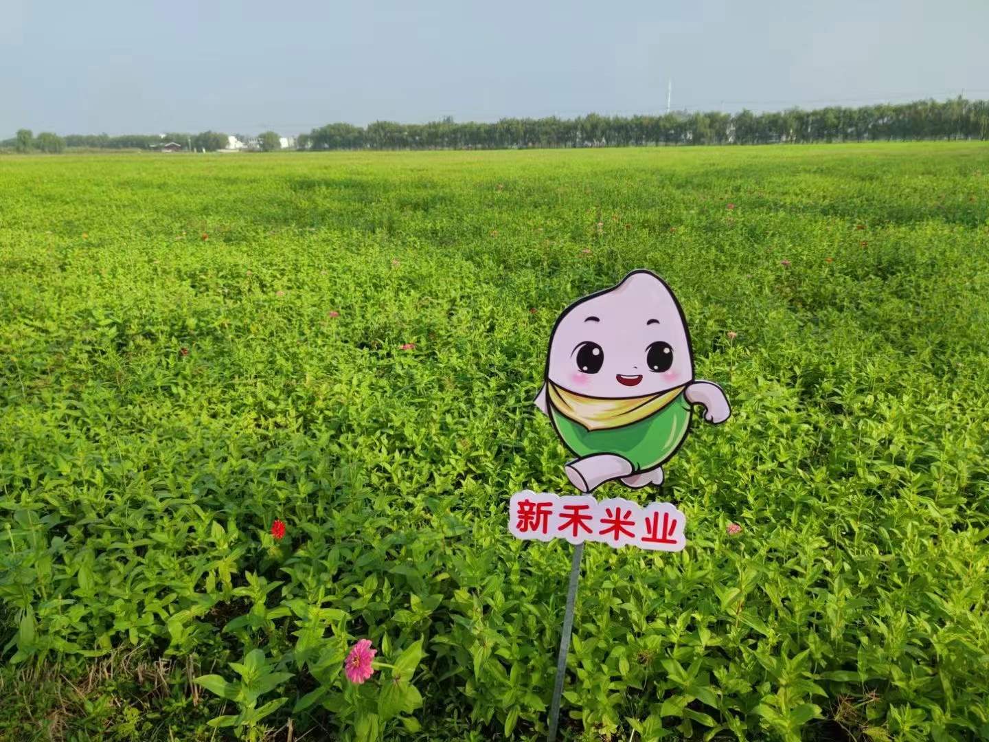 南宫·NG28(中国)相信品牌力量有限公司